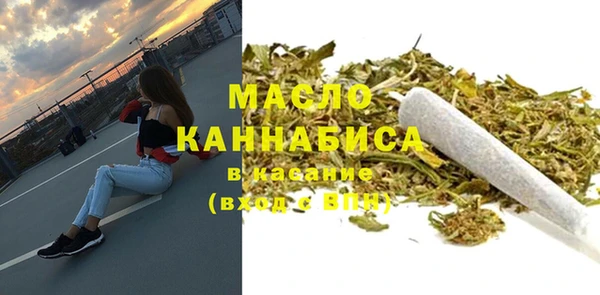 стаф Бородино