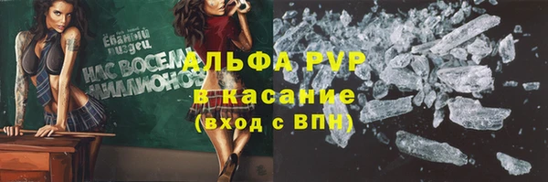 стаф Бородино